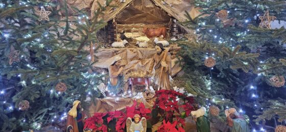 II Niedziela Zwykła