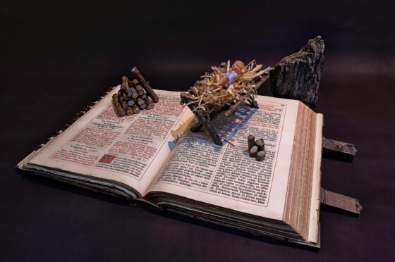 III Niedziela Zwykła